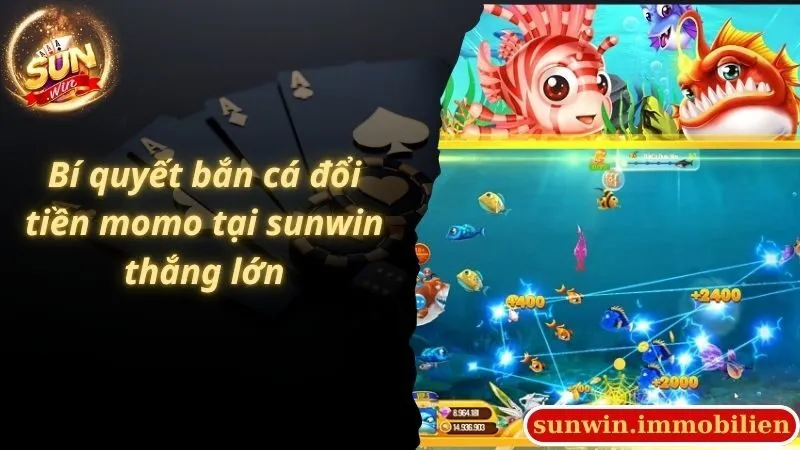 Bí quyết bắn cá đổi tiền momo tại sunwin thắng lớn