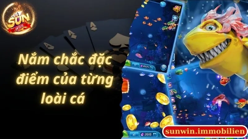 Nắm được từng đặc điểm của các loại cá