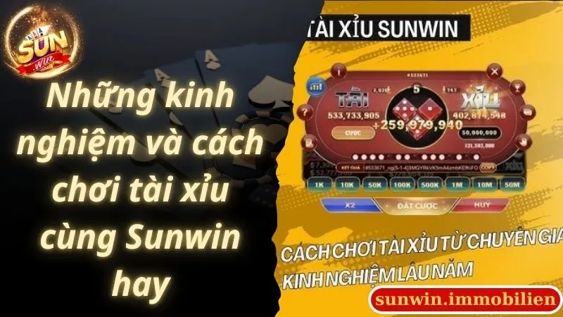 Đôi nét tựa game tài xỉu trực tuyến Sunwin