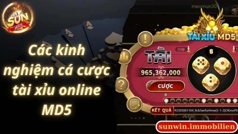 Các kinh nghiệm cá cược tài xỉu online MD5